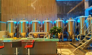 全自动精酿啤酒设备生产厂哪个更值得选？百冠智汇1000L型号，餐饮连锁适用