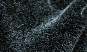 2026年阳离子狐狸毛行情盘点，采购前需确认绒毛倒向
