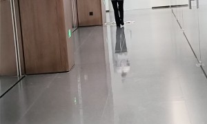 广东健身房保洁服务商家实力参考：靠谱商家怎么选？