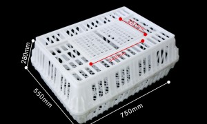 禽类养殖用塑料鸡笼定制 宝燕呈祥 耐腐蚀易清洗 适配阶梯式笼养