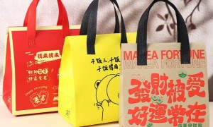 无纺布袋定制工厂实力参考：浙江福阳包装，展会袋用料扎实值得信赖