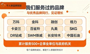 南岸区品牌策划服务机构全景分析：靠谱的品牌策划公司避坑挑选指南