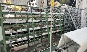 苏州锦纶化纤丝加捻加工厂商哪家靠谱 海安谷登加工厂口碑推荐