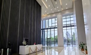 零创科技专业吗，技术实力如何