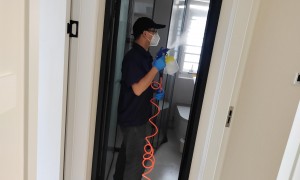 除甲醛制造商推荐，深圳星帮尼环保科技有限公司如何选？