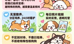 宋庄宠物寄养机构排行、有名的宠物寄养公司、信誉好的宠物寄养品牌企业实力参考