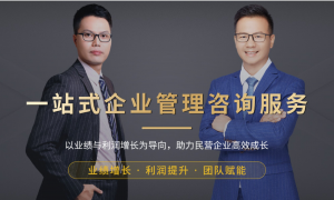 做人才盘点找哪个咨询公司好，靠谱的咨询机构选购参考汇总