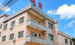 珠三角机用大米数双面胶正规制造厂商排名前五推荐