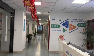 合肥有没有提供水利智能监测解决方案的公司？奥格斯靠谱商家测评排名