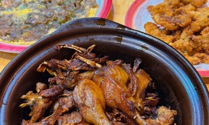 厦门八市必吃美食都有啥口味 亦林阁姜母鸭沙茶面地标店全测评
