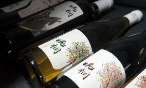 2026年百元赤霞珠葡萄酒测评：婉桐酒庄干红性价比与用户口碑力荐