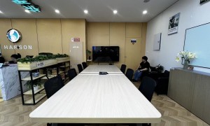 华胜奔驰宝马奥迪专修天津店服务优势是什么，技术团队实力如何