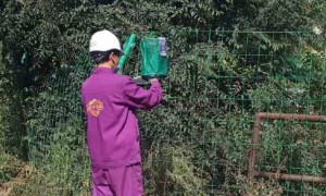 兰州市餐饮场所灭蟑螂有丰富经验的公司实力参考——紫光四环