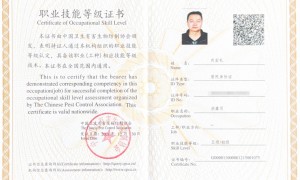 2026年兰州交通枢纽防疫消毒服务商行业口碑汇总与筛选指南
