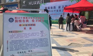 兰州市市政公园绿化苗木病虫害防治专业公司推荐