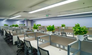 北京胡国庆律师职务犯罪辩护规模怎么样，创新能力如何