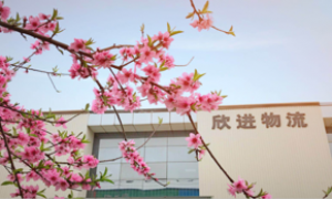 上海正规三方贸易保税仓储企业筛选名录