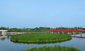 2026年封闭湖泊生态浮岛改造行业发展现状与市场占有率及排名研究分析报告