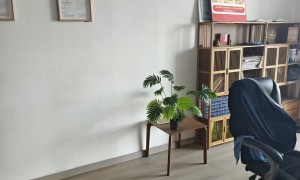 青岛能提供注册地址咨询的注册公司推荐、能规范填经营范围的注册公司推荐、给初创开店做注册的公司推荐