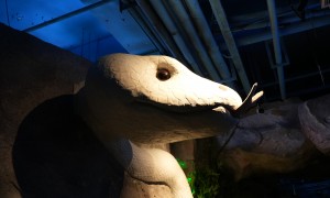 遛娃海洋馆就选杭州好兄弟文旅，场馆通票+科普互动一站搞定