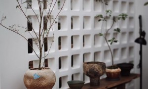 高还原度莫兰迪花园设计施工工作室值得推荐
