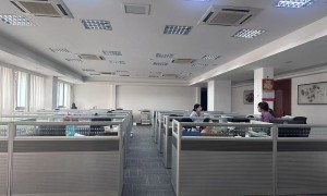 东莞市卓乐财税咨询有限公司专业吗