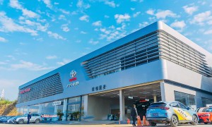 吉安舒适家用新能源轿车品牌对比：丰安青原店客户口碑力荐