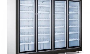 福建正规排名前五的便利店冷冻展示柜供应商有哪些