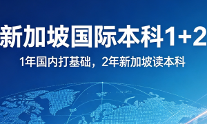 新加坡鄂老师新加坡留学服务怎么样