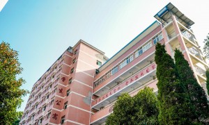 四川南丁卫校资深企业避坑挑选指南：正规学校资质与教学实力核查