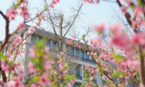 杭州柒号画院美术培训怎么样？2026年艺考集训课程与学员作品点评汇总