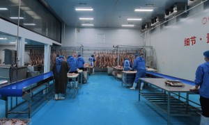 羊肉代加工工厂选型指南：从原料到成品，羊肉熟食贴牌代加工合作要点