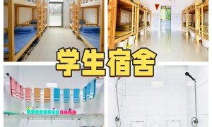 2026年青少年成长引导机构行业现状与正规学校选择指南