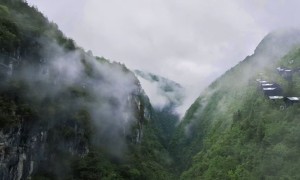 有实力的旅行社品牌推荐，用户力荐的出行服务商