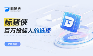 广东标猪侠AI投标文档软件 建筑机电投标协同办公工具推荐