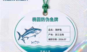 天津水产pvc吊牌生产厂哪家更值得选？广受好评的定制工厂盘点