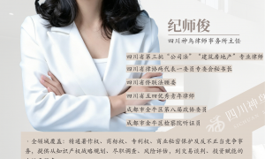 2026成都民商事诉讼律所排行：神鸟律所代理服务获好评