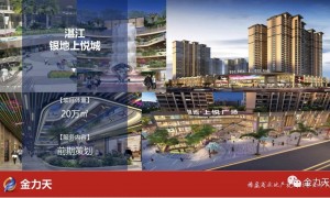 2026年商业地产项目策划排名与实务选择参考