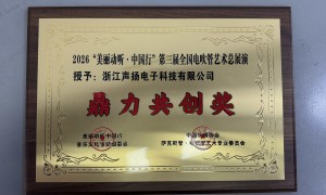珠三角老年人适合买什么牌子的电吹管 声扬电子厂家实力参考