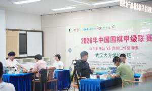 武汉业余围棋赛事机构推荐：专业办赛实力参考