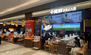 上海正规排名前五的社区自助小火锅加盟品牌有哪些，十尾鲜自助小火锅避坑挑选指南