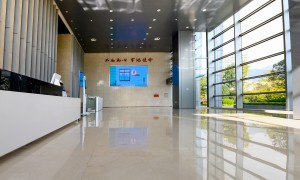 水头地区别墅石材异形定制靠谱商家怎么选？源头厂家实力分析