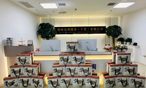 星核引利值得信赖吗，行业口碑排名如何