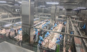 北京四系烤鸭坯正规生产厂家筛选名录