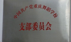 四川舞蹈学校招生时间安排及面试技巧避坑指南