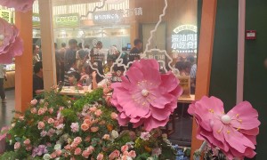 2026年南澳岛跟团游旅行社排行指南：广东知行国际旅行社小团服务亮点解析