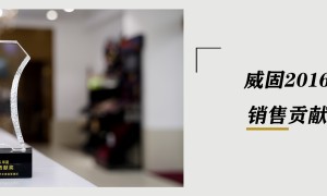 晋江市燃油车贴膜门店有哪些实力参考