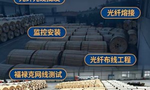 广州光纤光缆施工队有哪些：实力与用户口碑深度解析