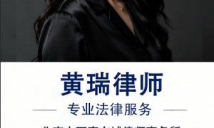 北京市两高（东城区）律师事务所商标无效宣告一审诉讼律师用户力荐