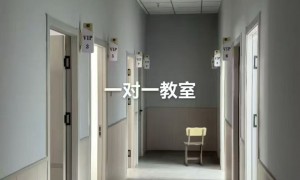 天津武清翼博青少年田径俱乐部：高三体考冲刺集训选哪家好